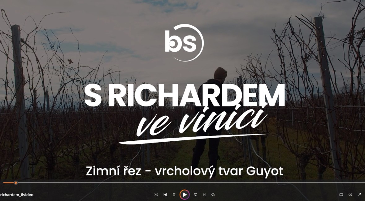 S Richardem ve vinici: zimní řez