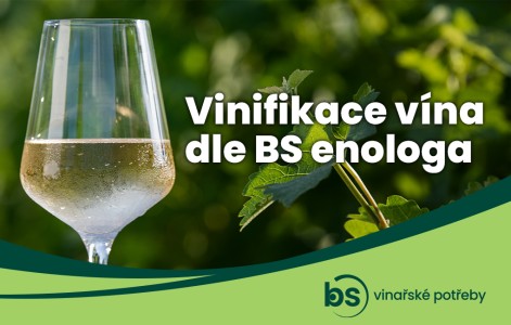 Technologie výroby vína pro Rulandské modré