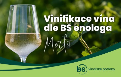 Technologie výroby vína pro Merlot