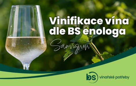 Technologie výroby vína pro Sauvignon