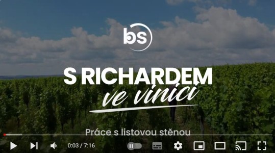 S Richardem ve vinici: práce s listovou stěnou