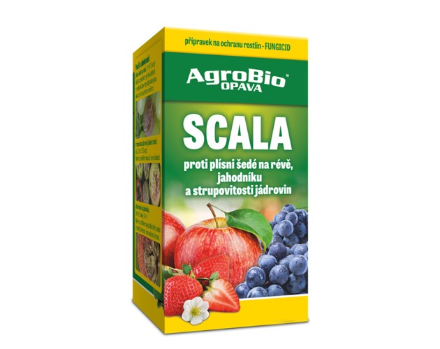 SCALA 250 ml