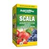 SCALA 250 ml